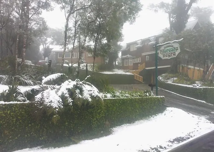 Pousada Floresta NegraPousada